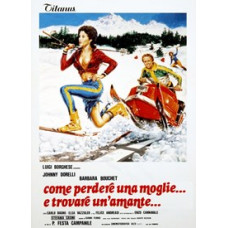 How to lose your wife and find a mistress (How to lose your wife and find a mistress) [DVD]