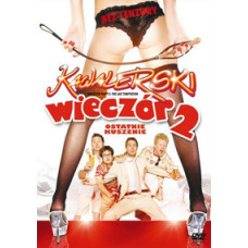 Мальчишник 2: Последнее искушение [DVD]