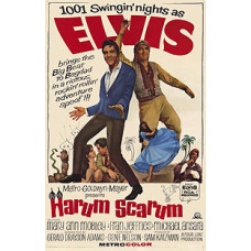 Канікули в гаремі [DVD]