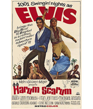 Каникулы в гареме [DVD]