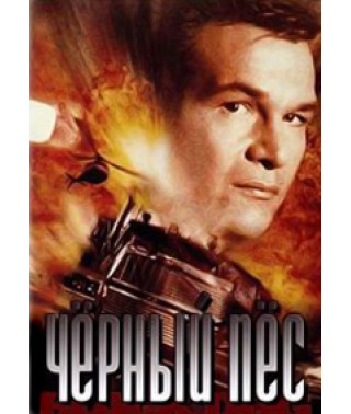 Чёрный пёс  [DVD]