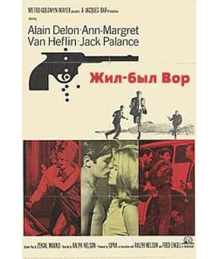 Жив-був злодій [DVD]