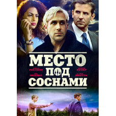 The Place Beyond the Pines [DVD]