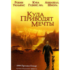 Куда приводят мечты [DVD]