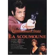 Скумон: Хто приносить біду [DVD]