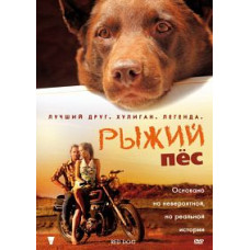 Red Dog [DVD]