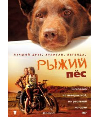 Рудий пес [DVD]