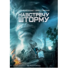 Into the Storm [DVD]