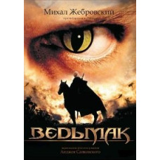 The Witcher [DVD]