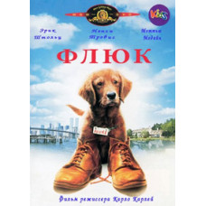 Флюк [DVD]