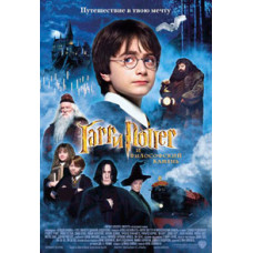 Harry Potter and the Sorcerer's Stone [DVD]