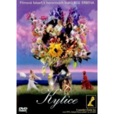 Букет [DVD]