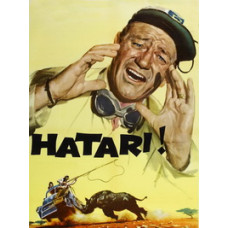 Хатарі! [DVD]
