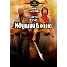 Walking on Fire [DVD]