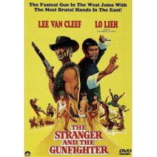 The Stranger and the Gunslinger [DVD]