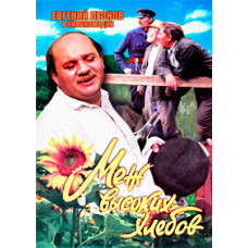 Between Tall Breads [DVD]
