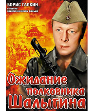 Ожидание полковника Шалыгина [DVD]