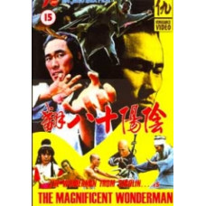 Чудовий та дивовижний [DVD]