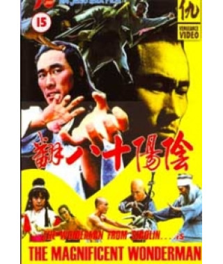 Замечательный и удивительный [DVD]