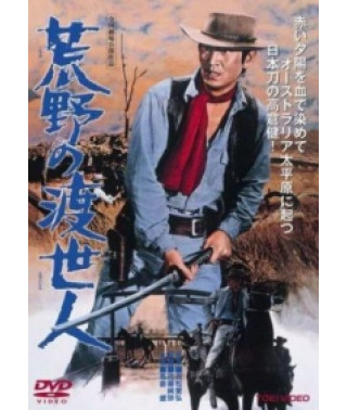 Странствующий мститель [DVD]