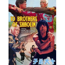 10 братів Шаоліня [DVD]