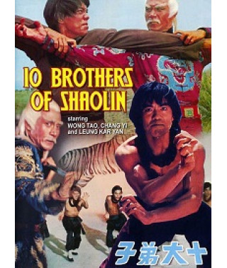 10 братів Шаоліня [DVD]