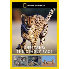 Cheetah: Deadly Hunt [DVD]