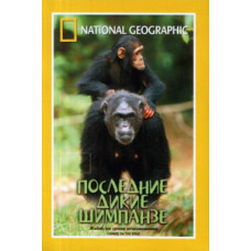 The Last Wild Chimpanzees [DVD]