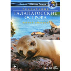The Unique Galapagos Islands: South America [DVD]