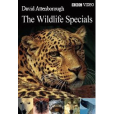 Життя тварин. Плотоядні [DVD]