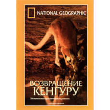 Возвращение кенгуру [DVD]