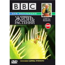 Невидиме життя рослин [DVD]