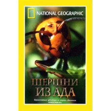 Шершни из ада [DVD]