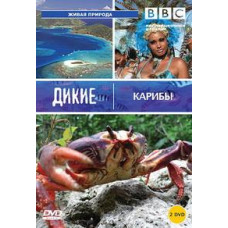 Дикие Карибы [DVD]