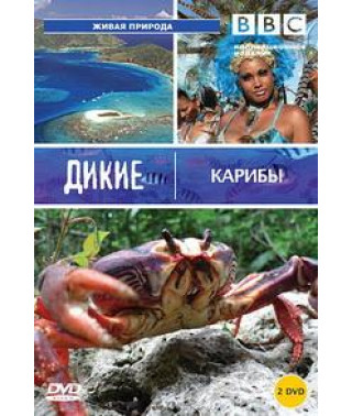 Дикі Кариби [DVD]