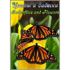 Квіти та метелики [DVD]