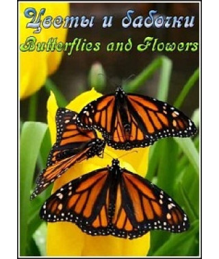 Цветы и бабочки [DVD]