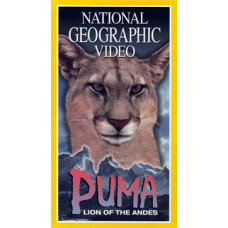 Пумы - львы Анд [DVD]