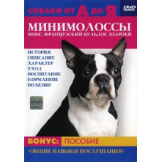 Dogs from A to Z: Minimolosses. Shar Pei, Pug, French Bulldog [DVD]
