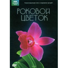 Світ природи. Фатальна квітка [DVD]