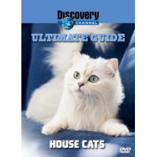 The Ultimate Guide: Domestic Cats [DVD]