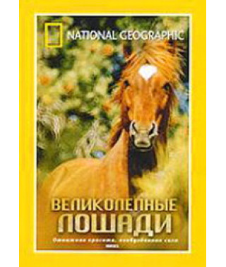 Великолепные лошади [DVD]