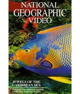 Pearls of the Caribbean [DVD]