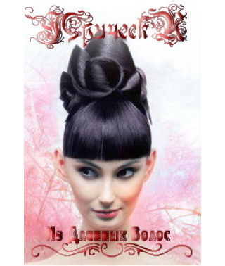 Long Hair Hairstyles [DVD]