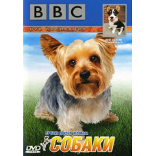 BBC: Wildlife. Dogs [DVD]