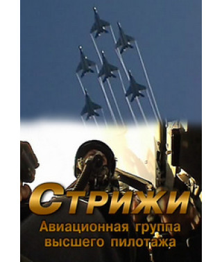 "Стрижі" - авіаційна група вищого пілотажу [DVD]