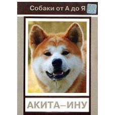 Dogs from A to Z: Akita Inu [DVD]