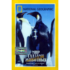 Мир глазами животных [DVD]