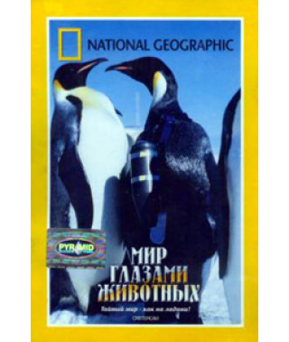 The world through the eyes of animals [DVD]