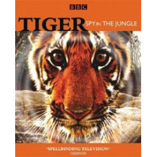 Тигр: Шпигун джунглів [DVD]